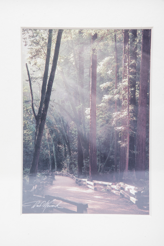 Framed City and Landscape Scenes