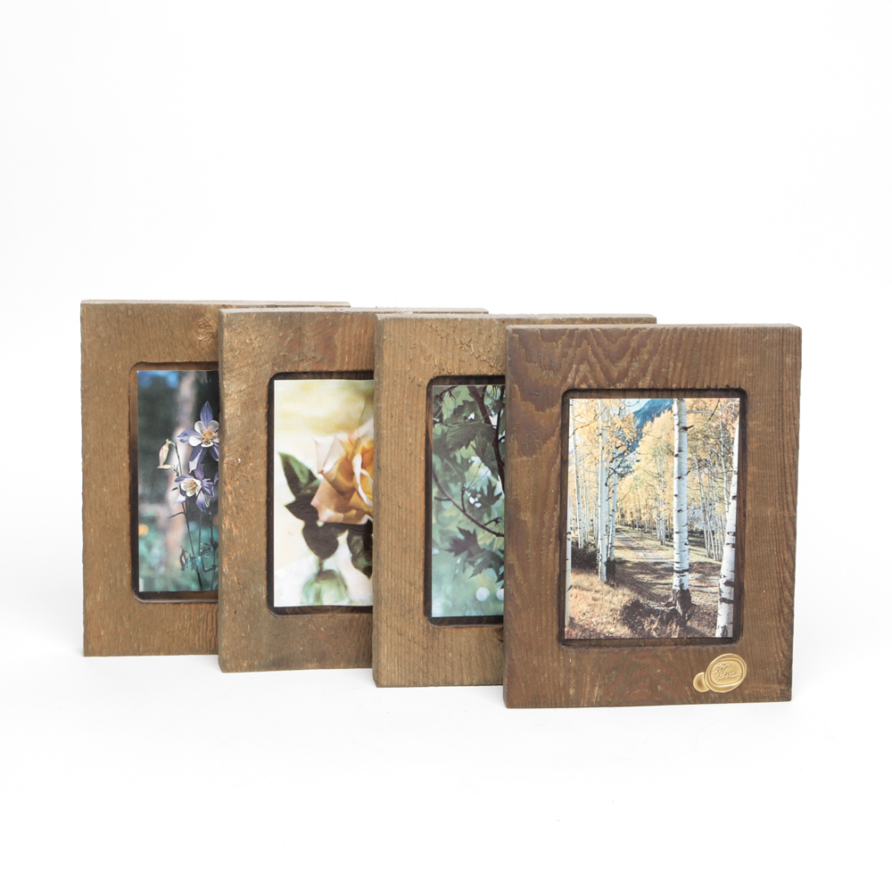 Collection of Nature Photographs