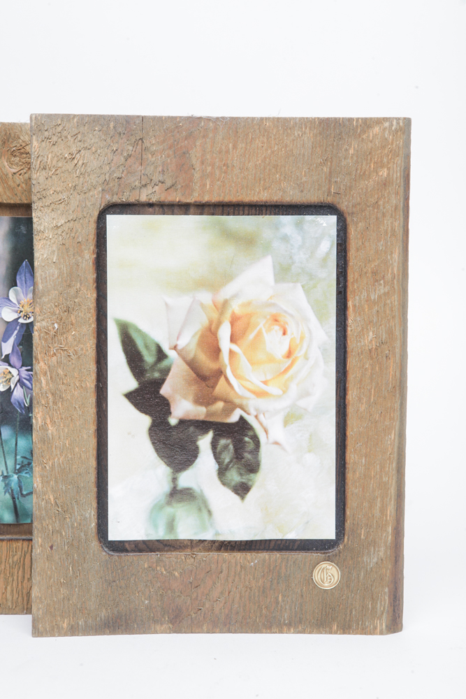 Collection of Nature Photographs