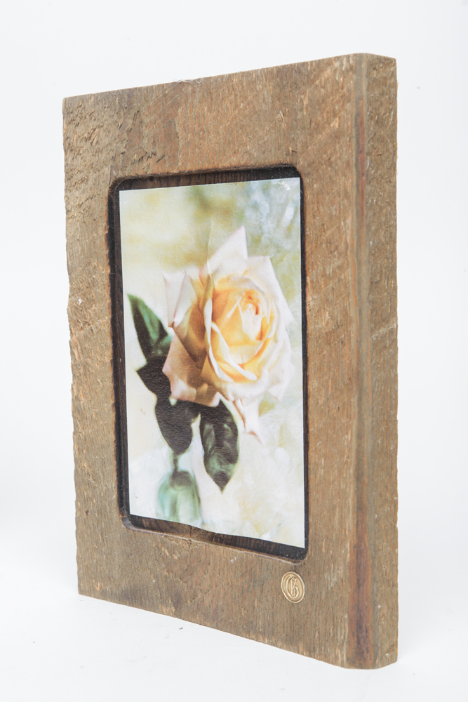 Collection of Nature Photographs