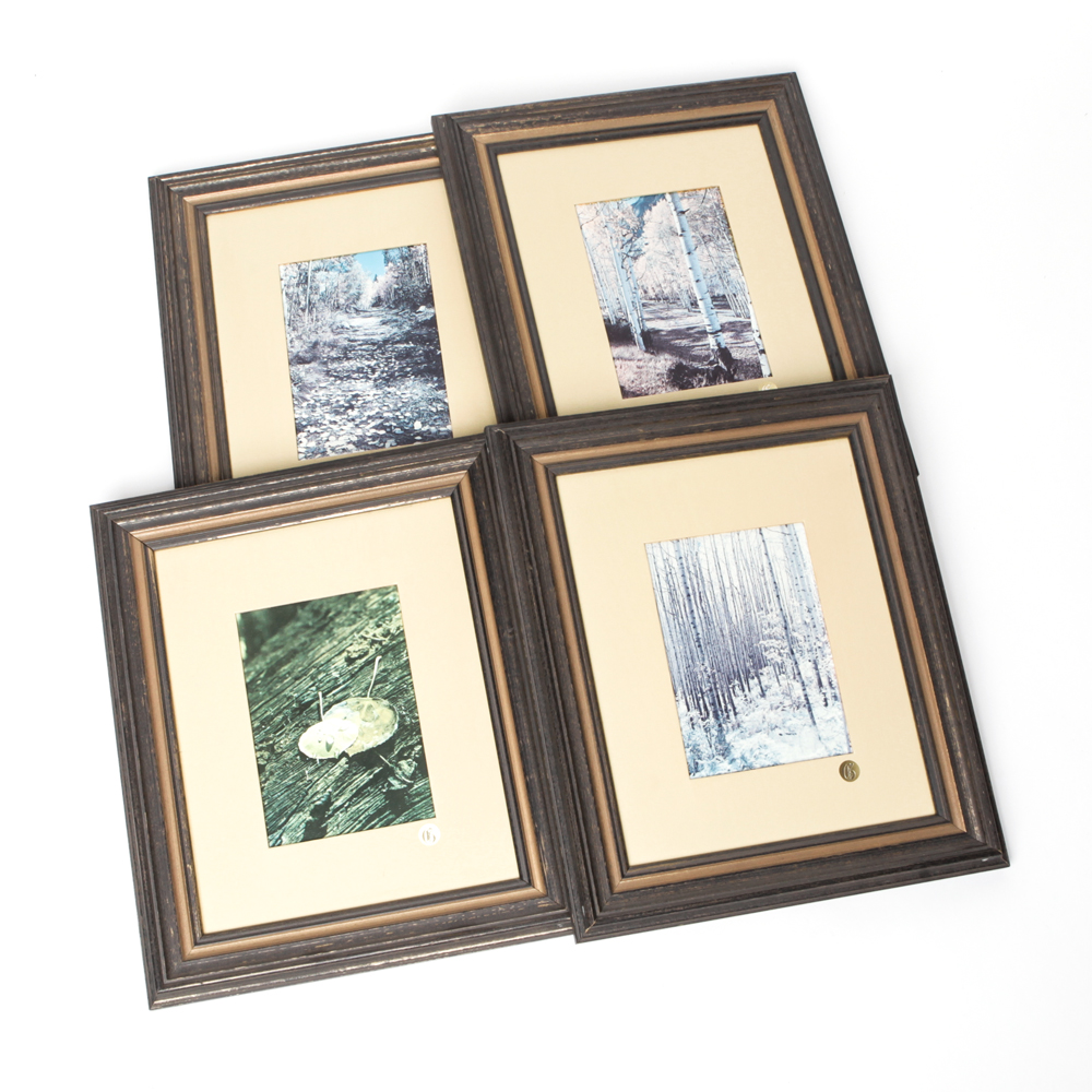 Matted and Framed Nature Photos