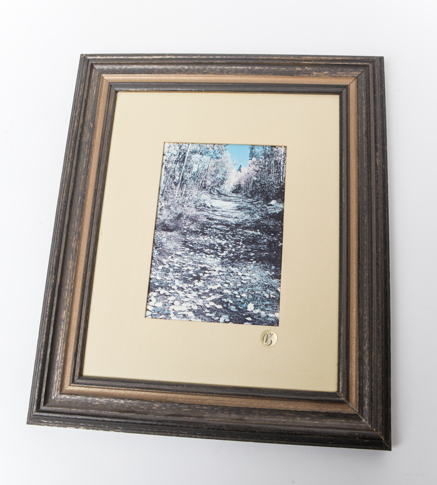 Matted and Framed Nature Photos
