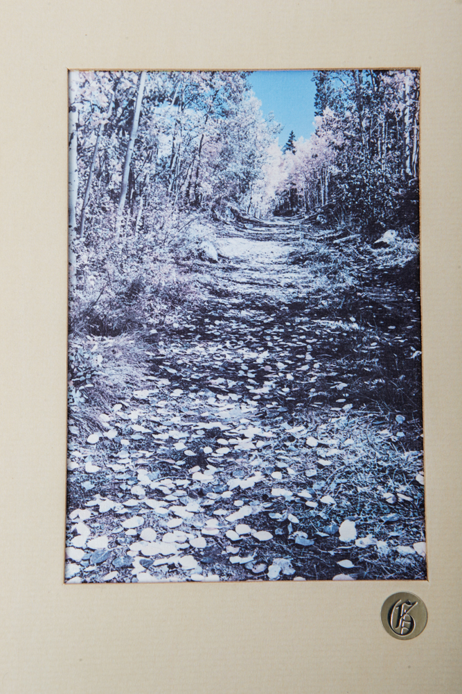 Matted and Framed Nature Photos