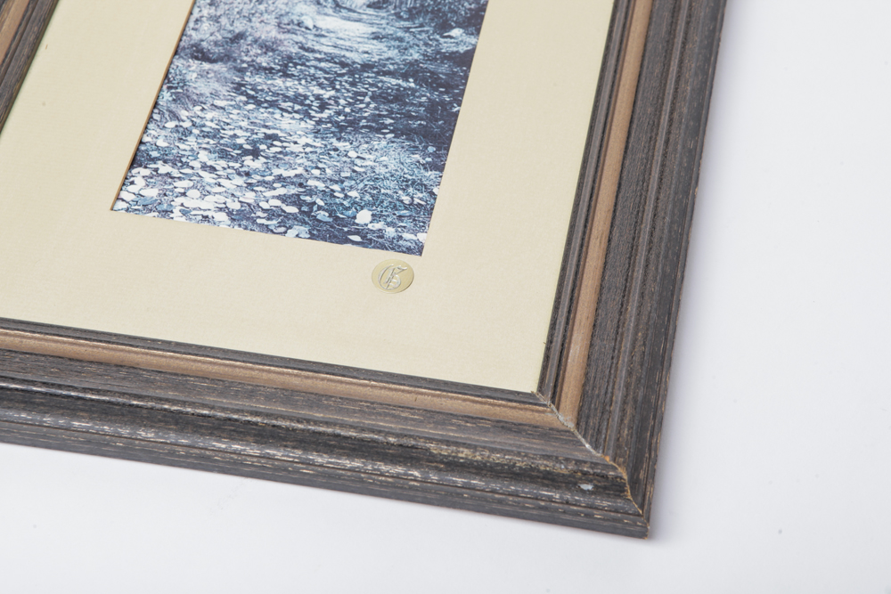 Matted and Framed Nature Photos