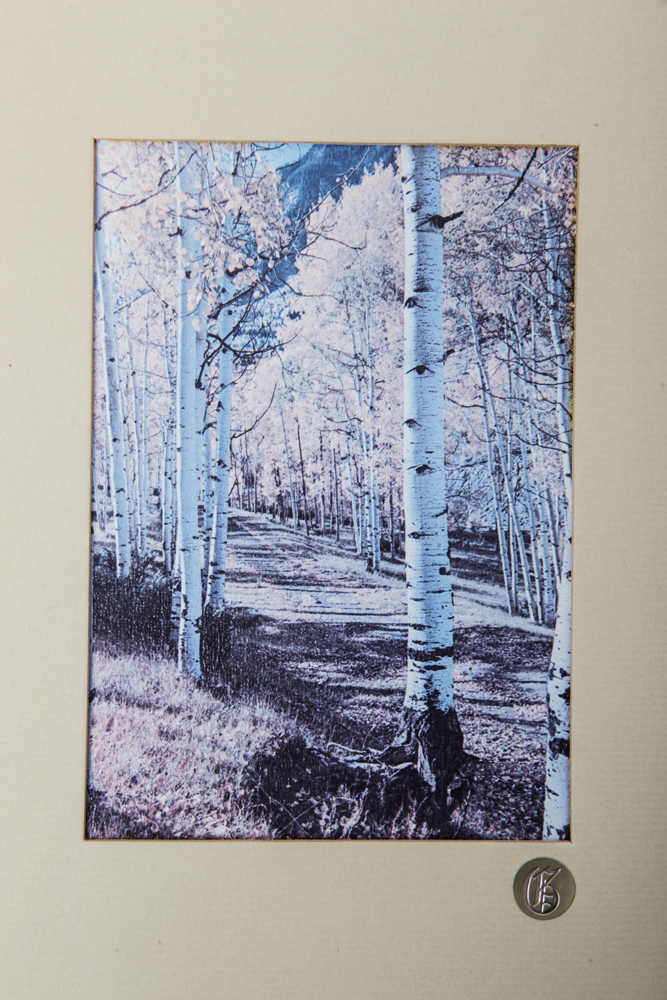 Matted and Framed Nature Photos