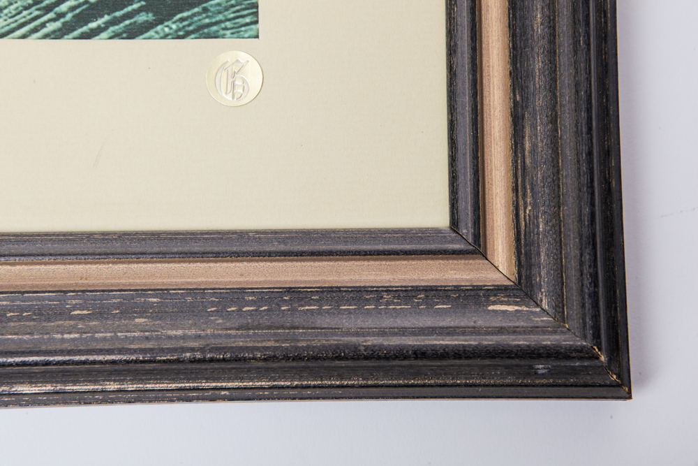 Matted and Framed Nature Photos