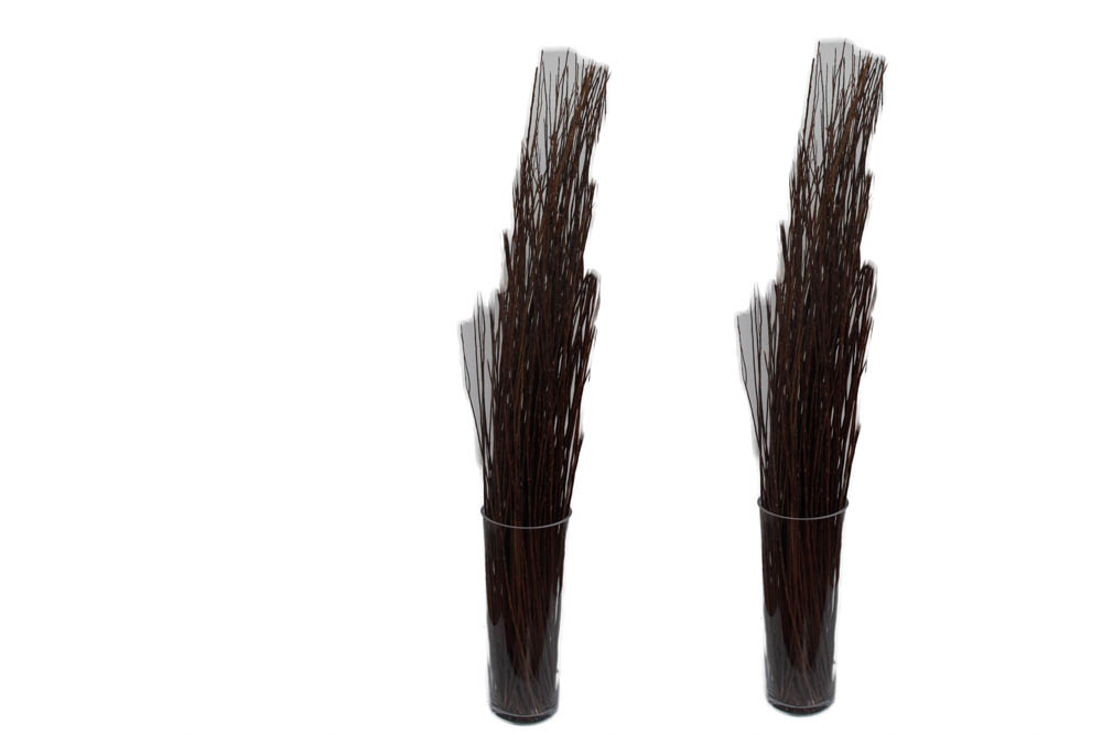 Pair of Glass Vases and Decorative Sticks