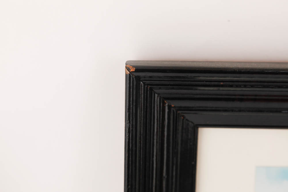 Pair of Chris Willis Framed Photographs