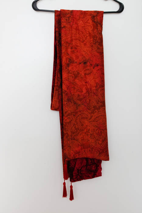 Red Velvet Dress and Wrap