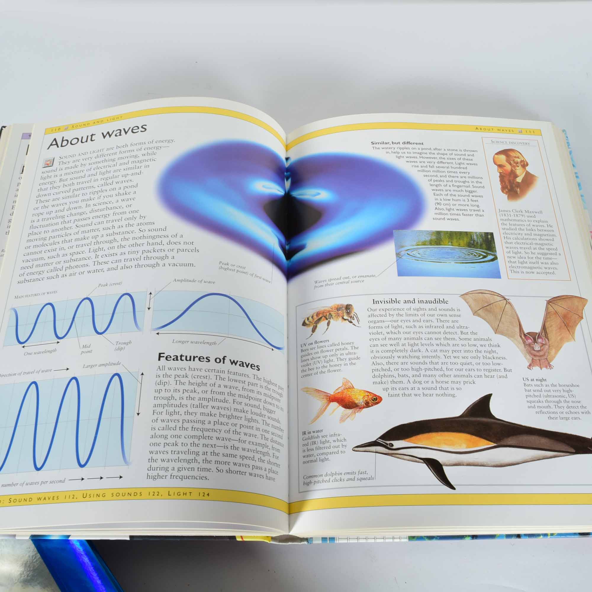 Eclectic Book Assortment