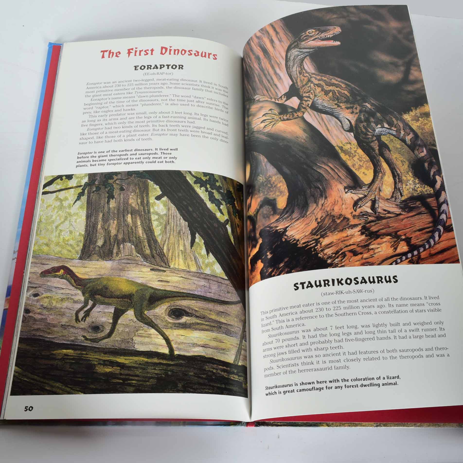 Eclectic Book Assortment