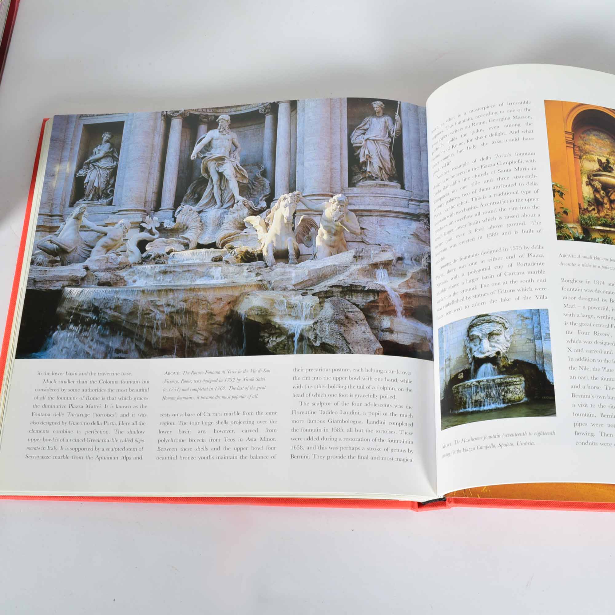 Coffee Table Book Collection