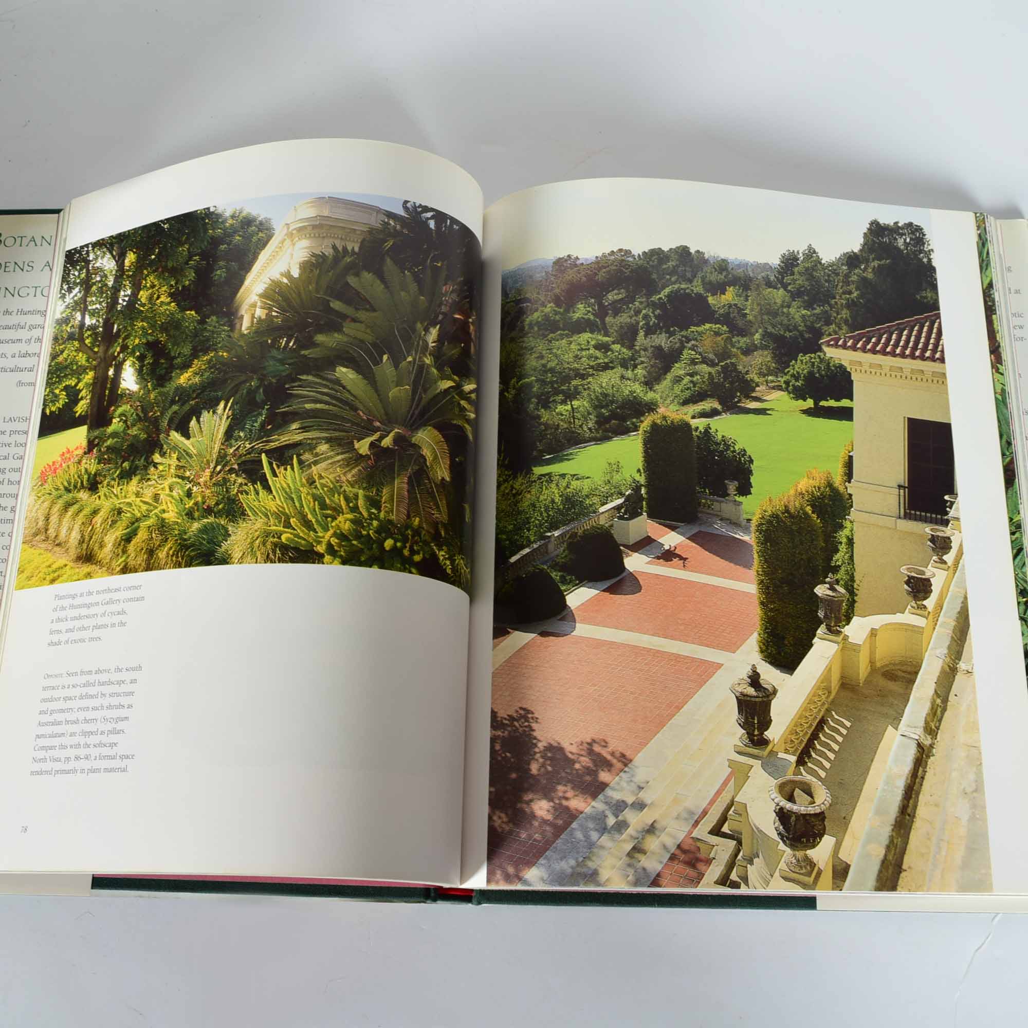 Coffee Table Book Collection