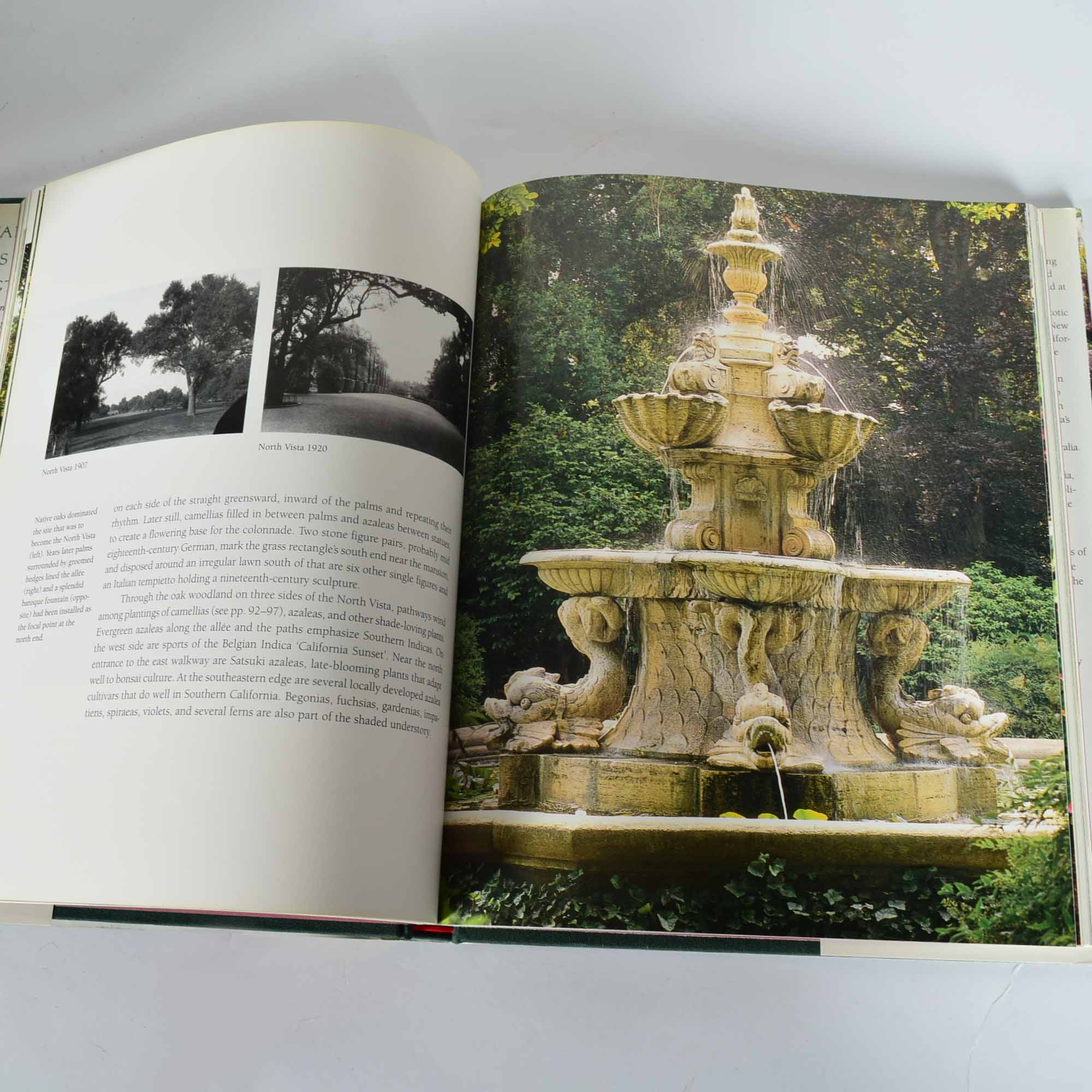 Coffee Table Book Collection