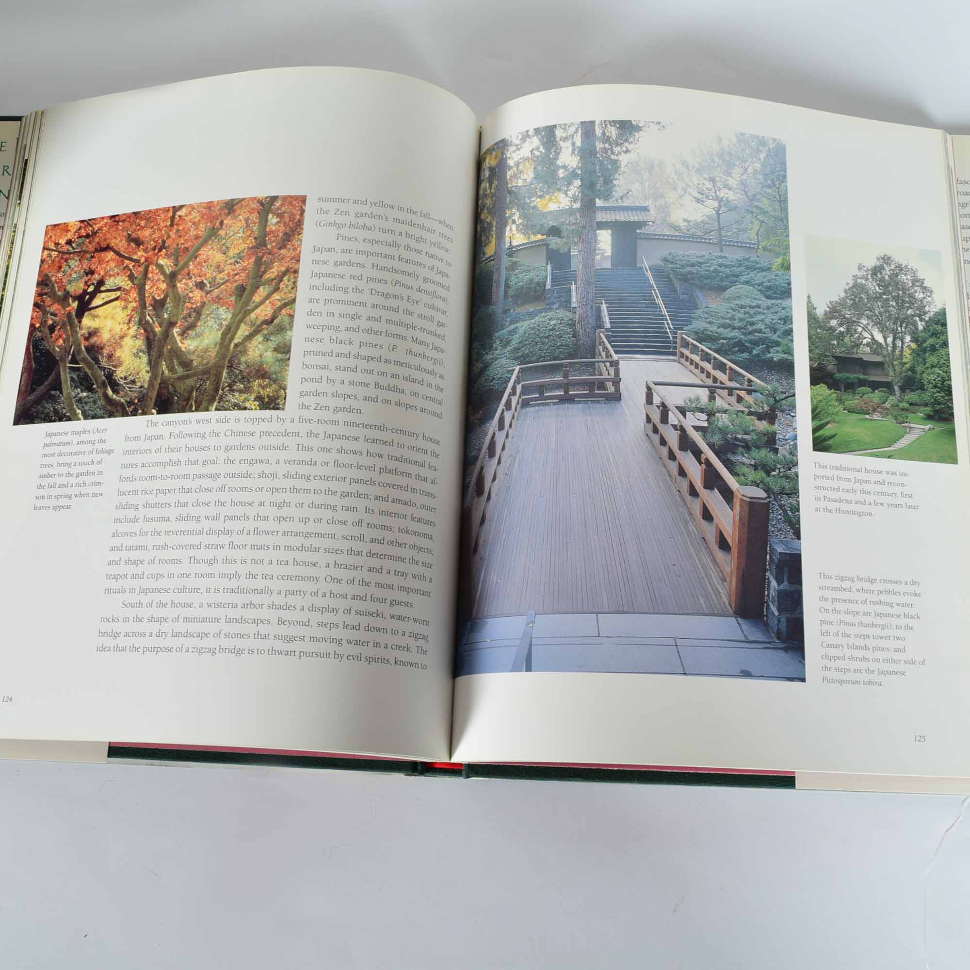 Coffee Table Book Collection