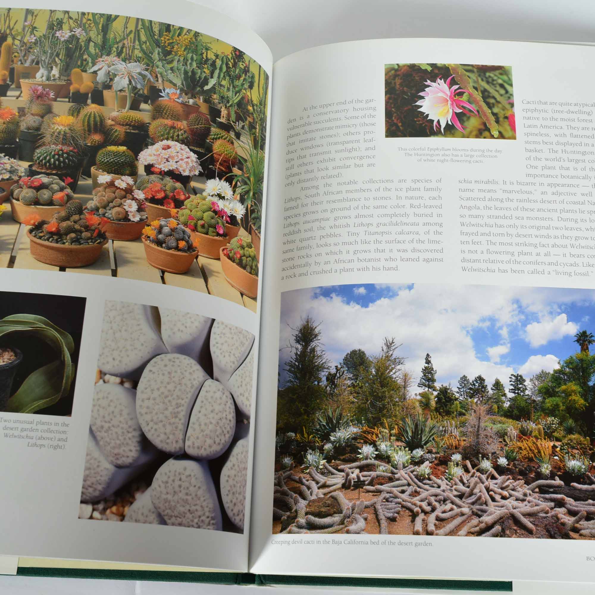 Coffee Table Book Collection