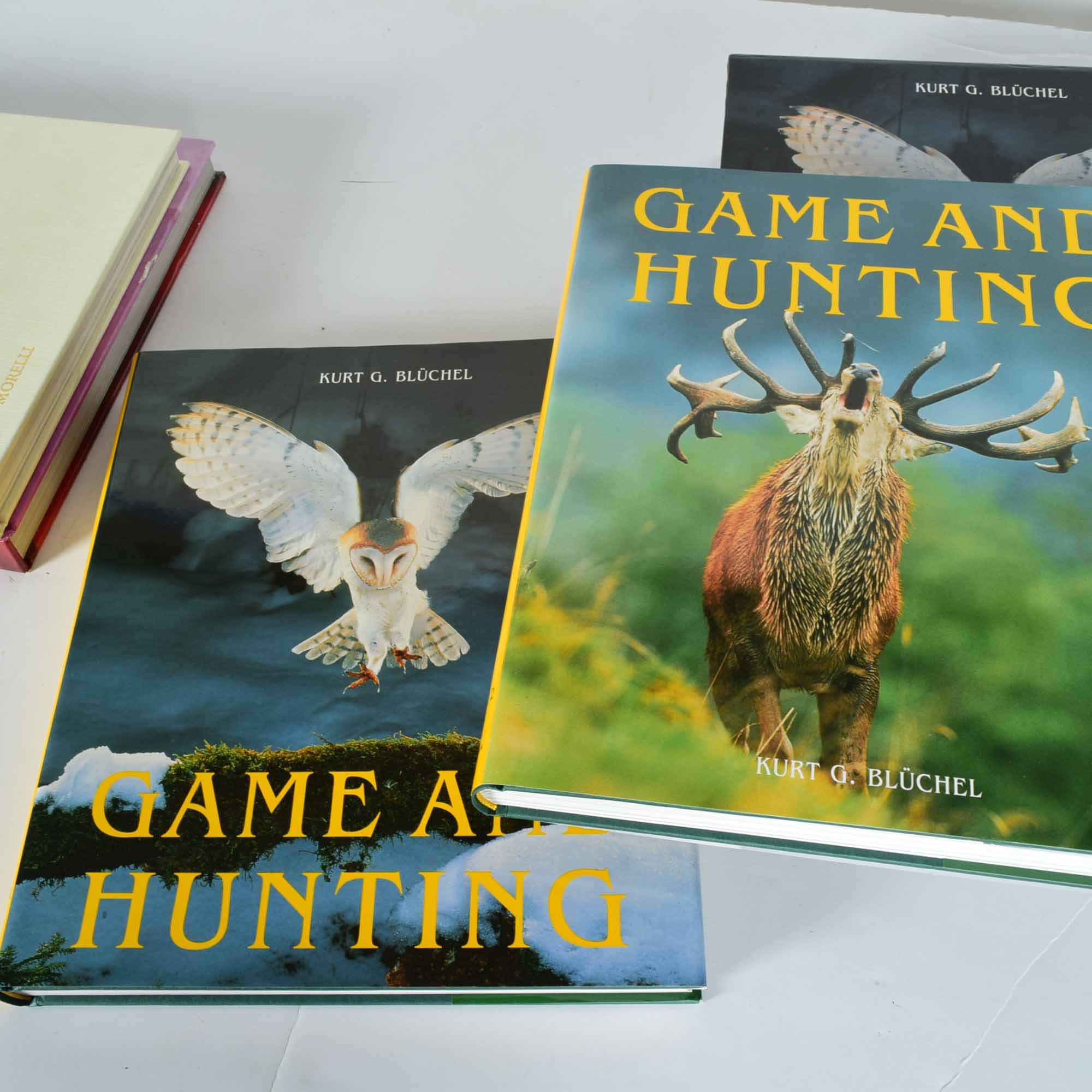 Coffee Table Book Collection