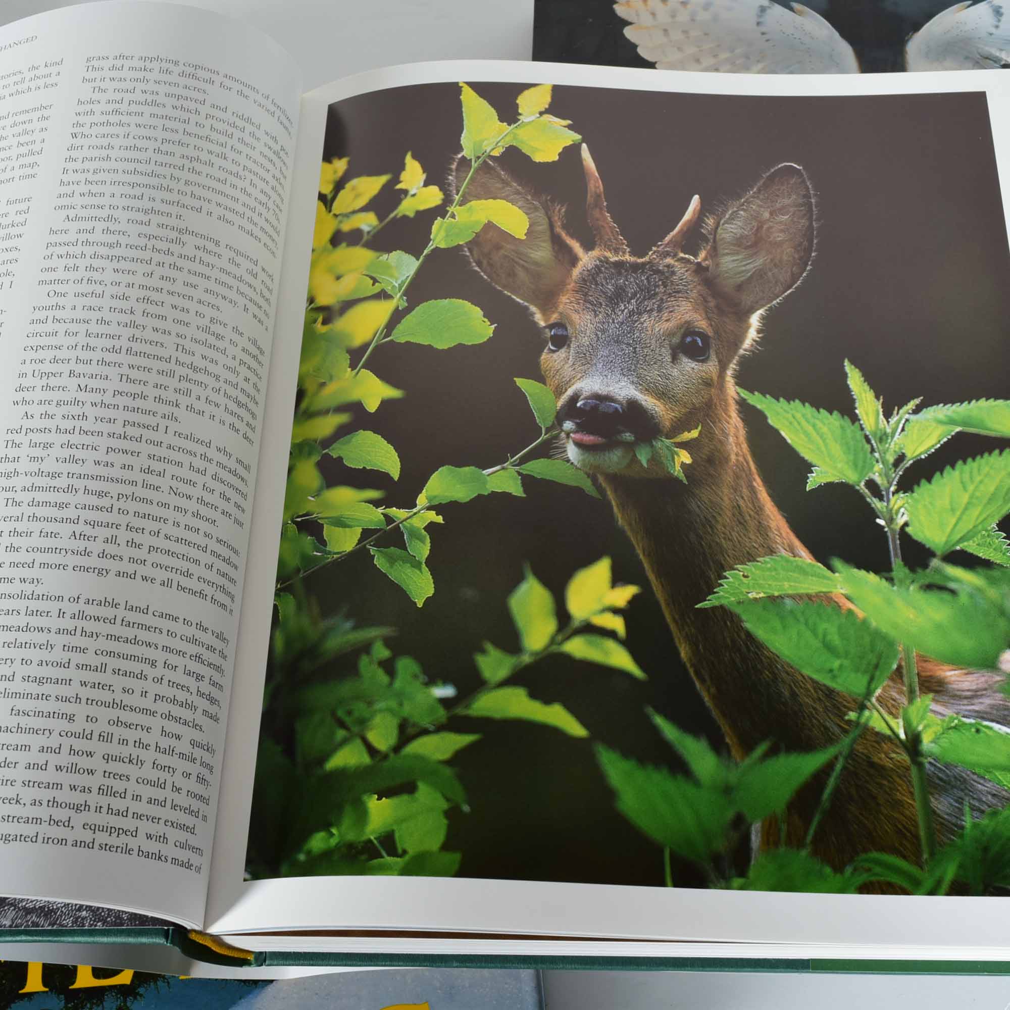 Coffee Table Book Collection