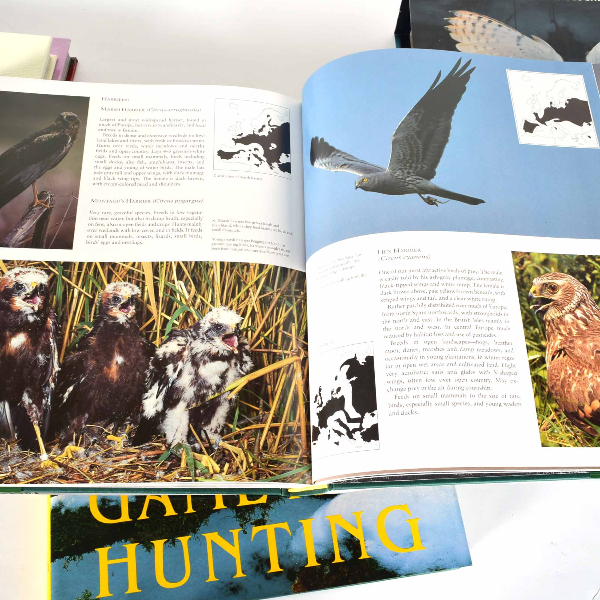 Coffee Table Book Collection