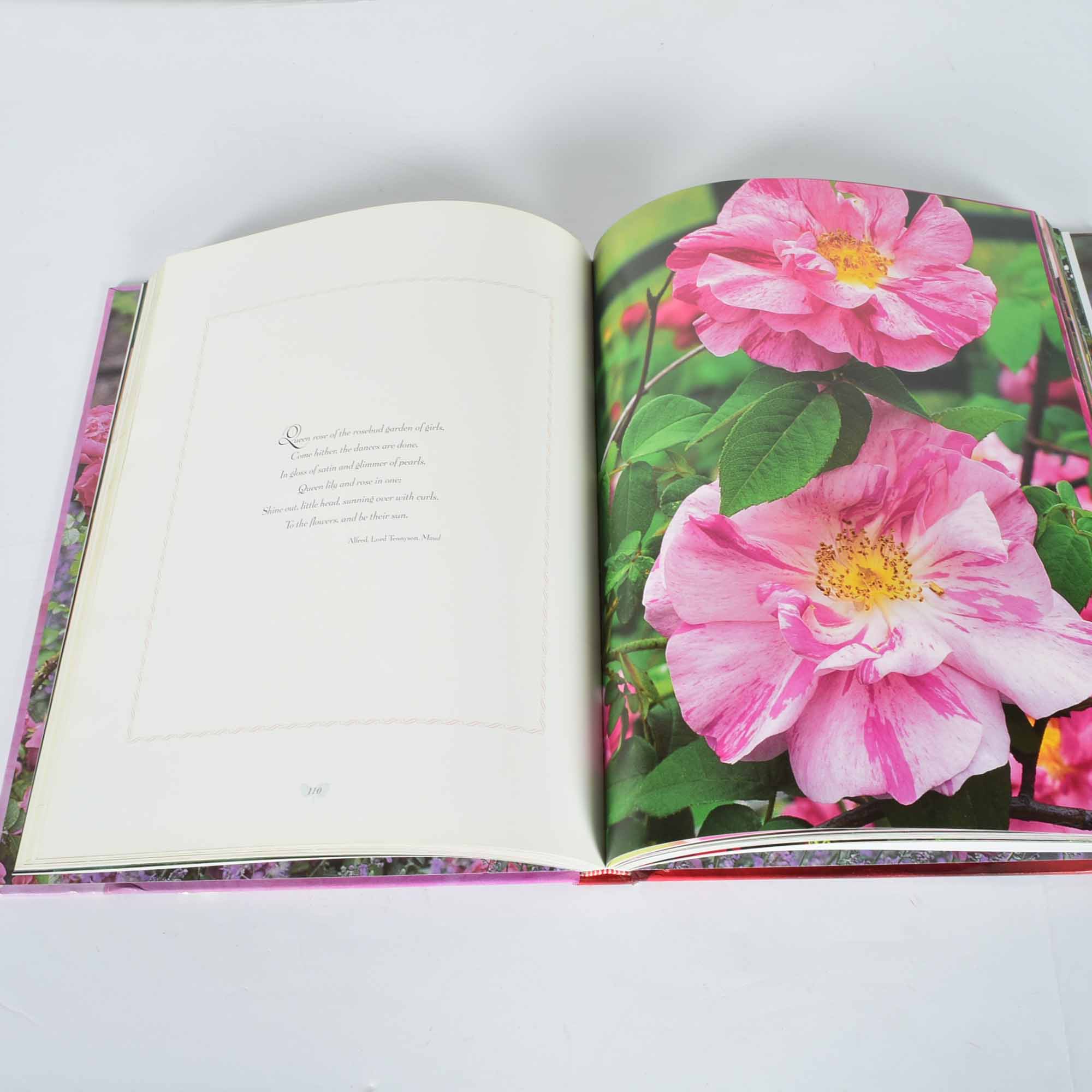 Coffee Table Book Collection