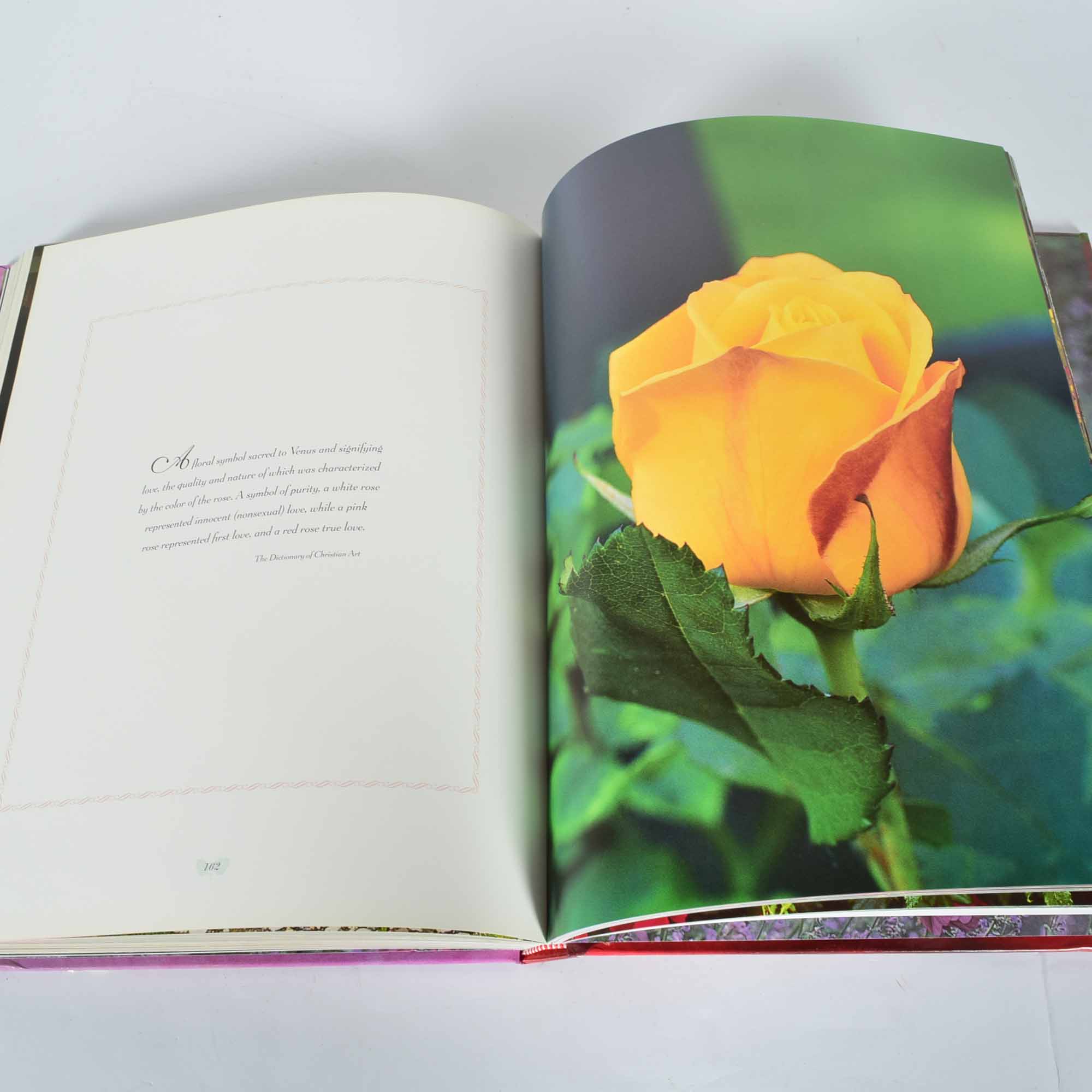 Coffee Table Book Collection