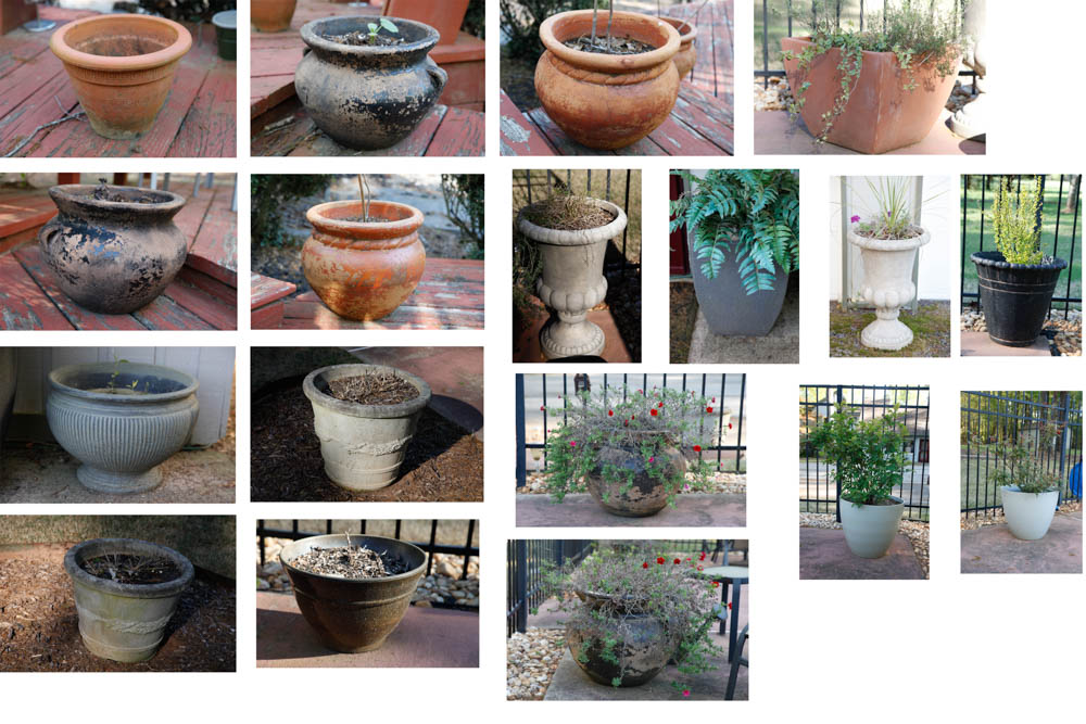 Grouping of Outdoor Planters