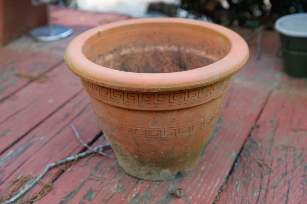 Grouping of Outdoor Planters