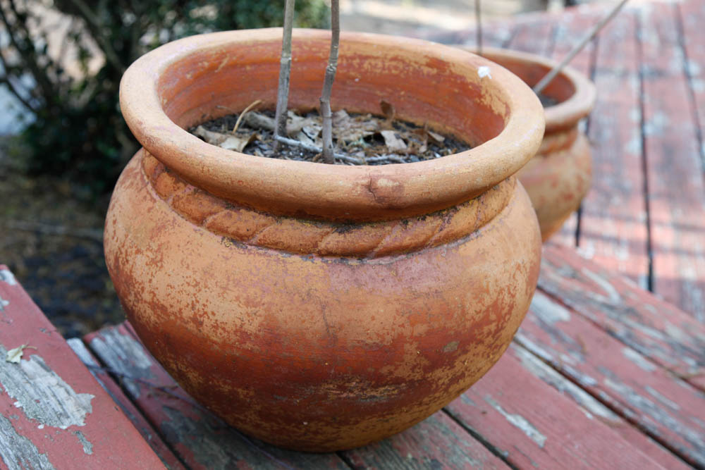 Grouping of Outdoor Planters