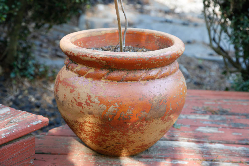 Grouping of Outdoor Planters