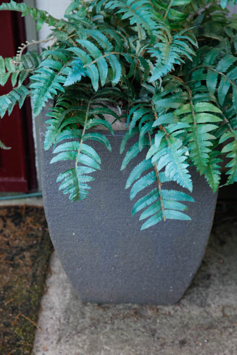 Grouping of Outdoor Planters