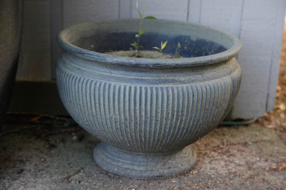 Grouping of Outdoor Planters