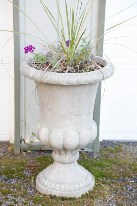 Grouping of Outdoor Planters