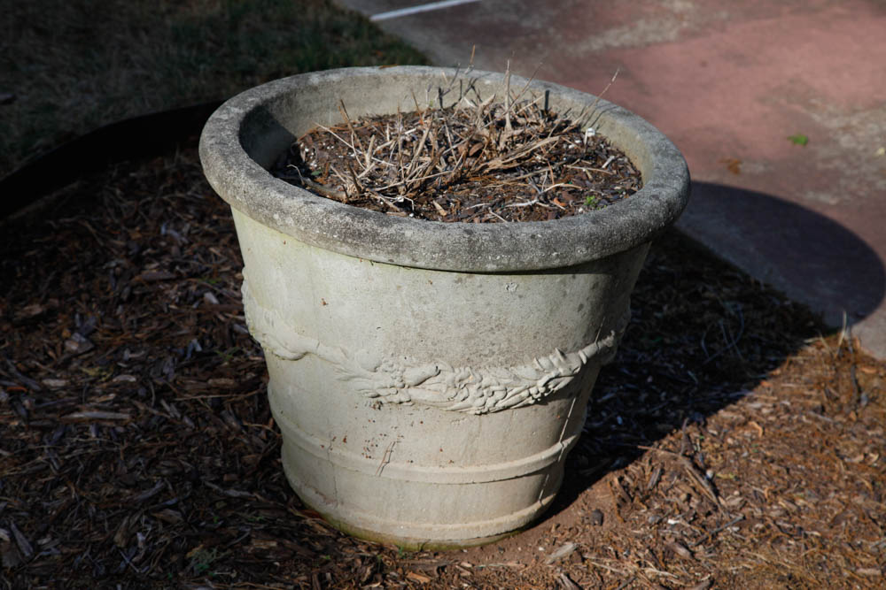 Grouping of Outdoor Planters