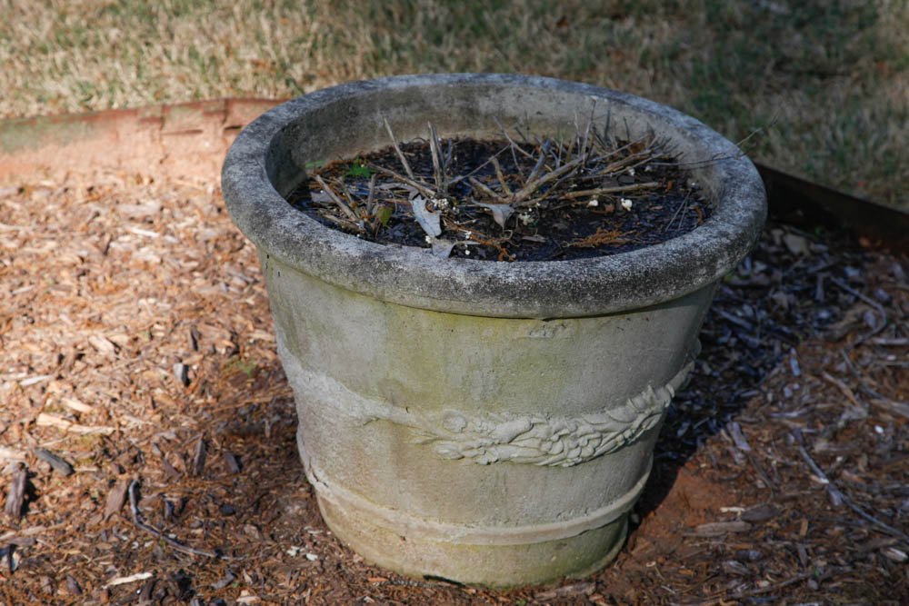 Grouping of Outdoor Planters