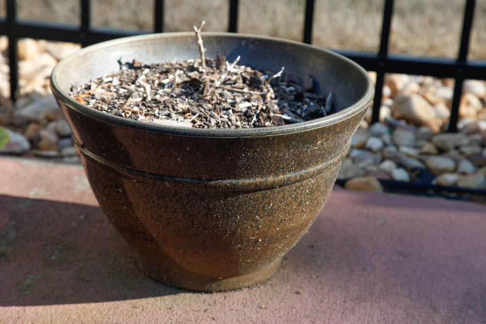 Grouping of Outdoor Planters