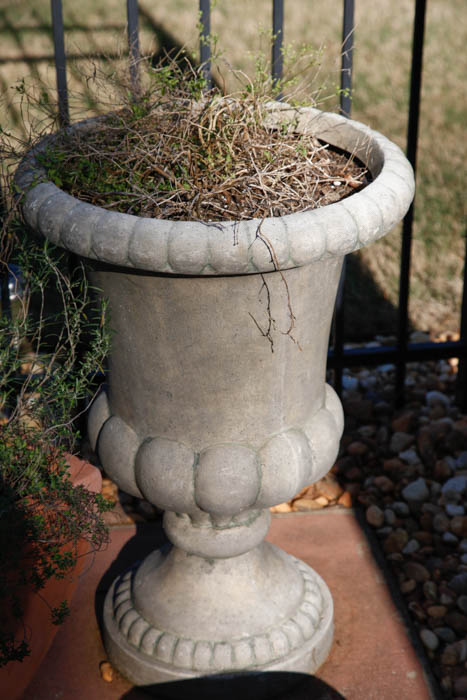 Grouping of Outdoor Planters