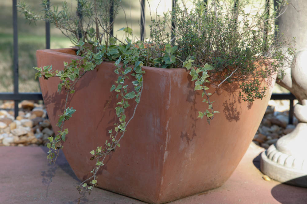 Grouping of Outdoor Planters