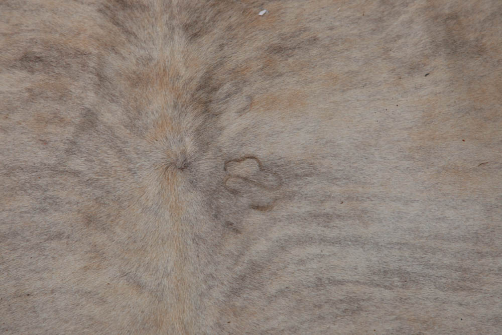 Cow Hide Rug
