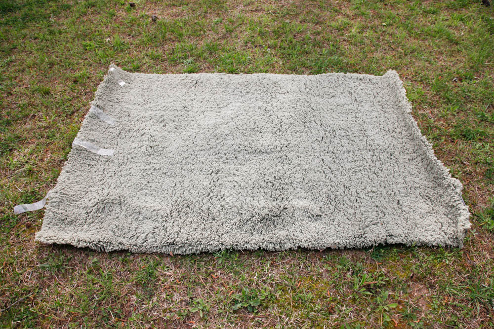 Sage Green Shag Area Rug