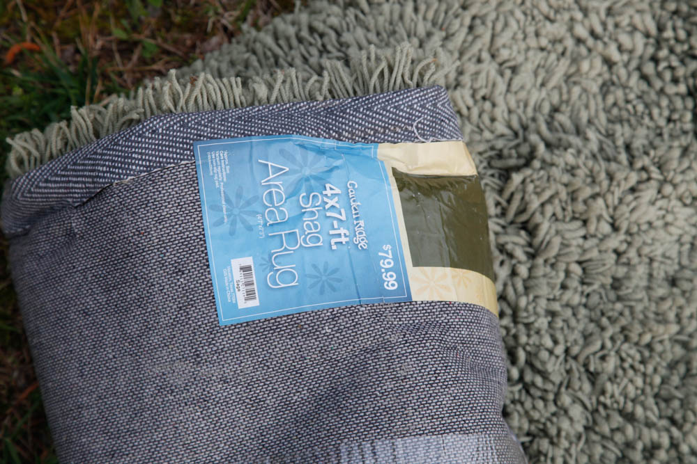 Sage Green Shag Area Rug