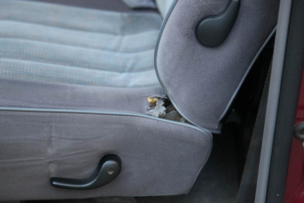 Dodge Ram 1500 Truck