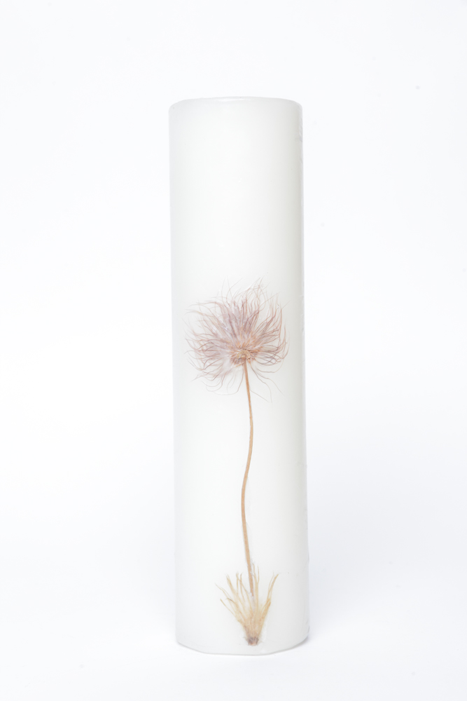 Botanical-Themed Decor