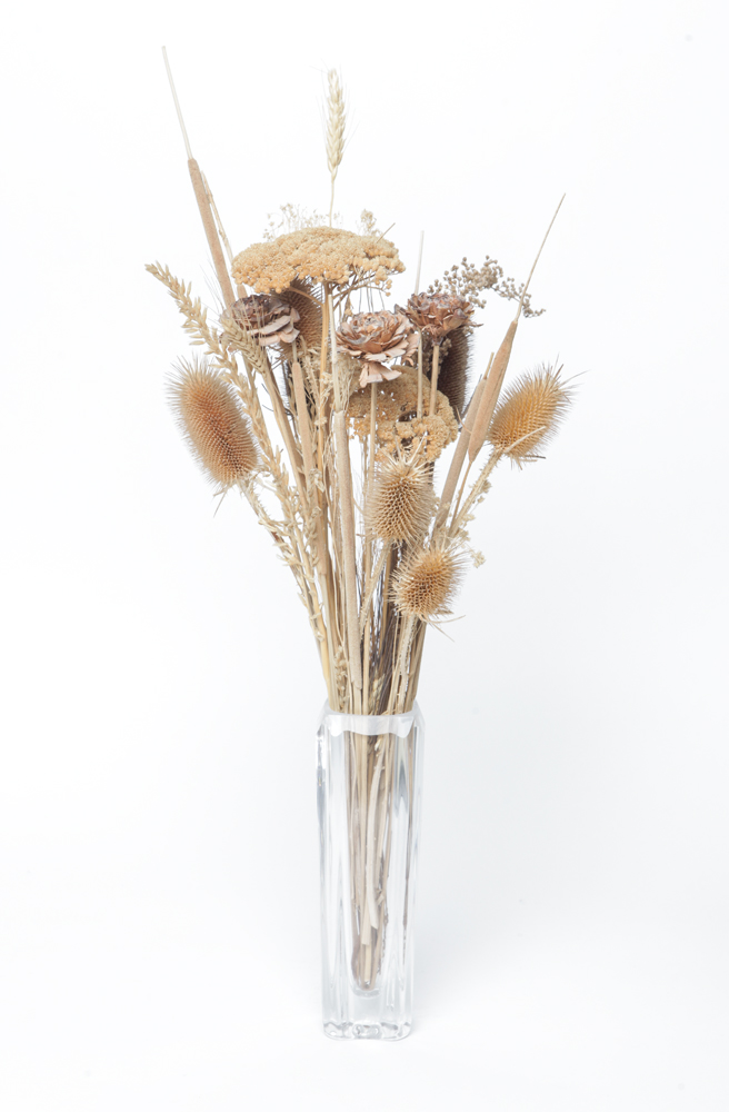 Botanical-Themed Decor