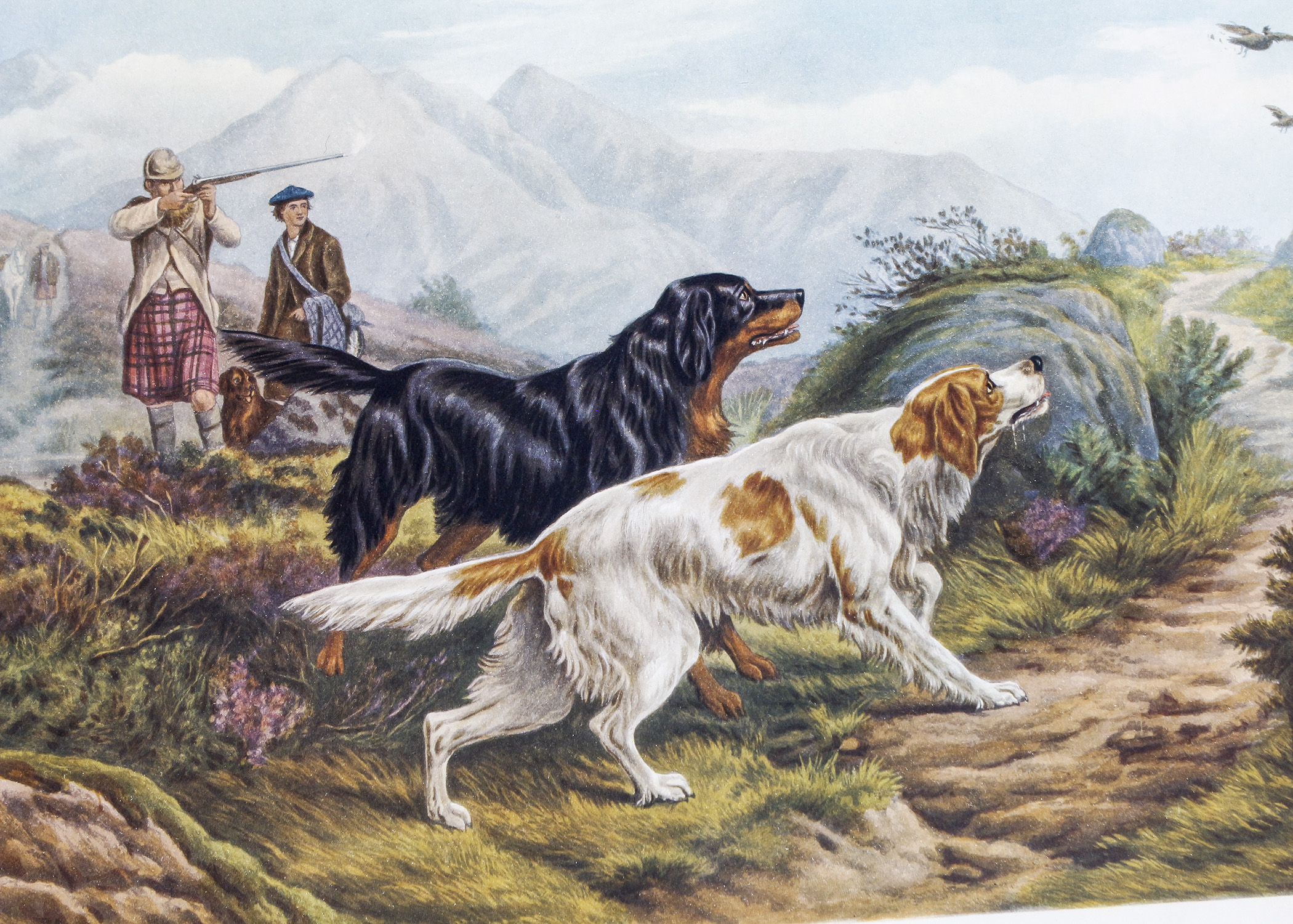 Engraving Titled "Grouse Shooting" by Basil Bradley