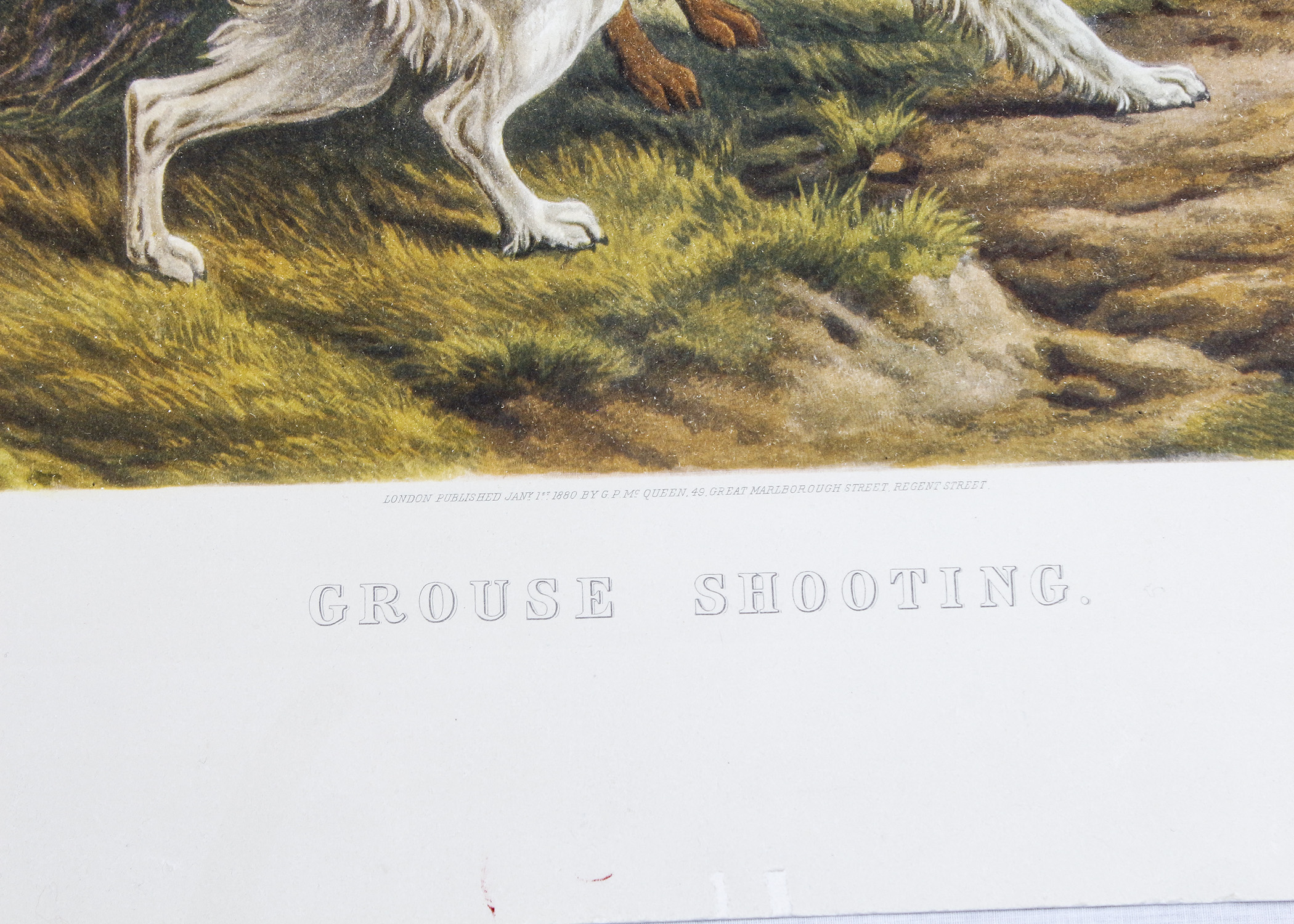 Engraving Titled "Grouse Shooting" by Basil Bradley