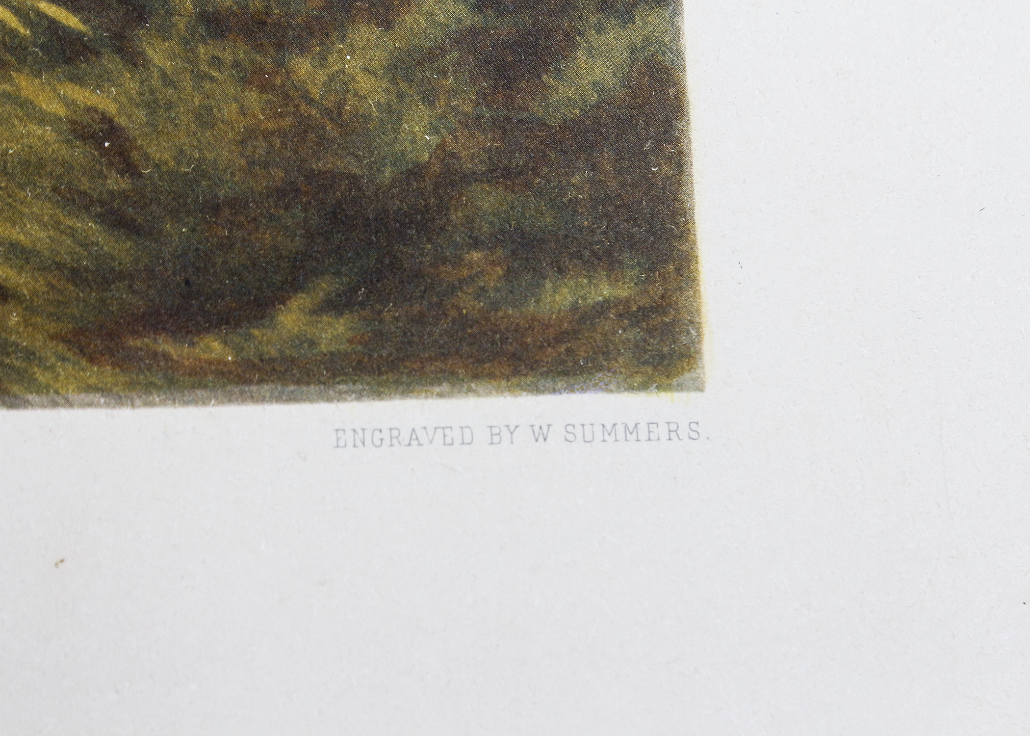 Engraving Titled "Grouse Shooting" by Basil Bradley