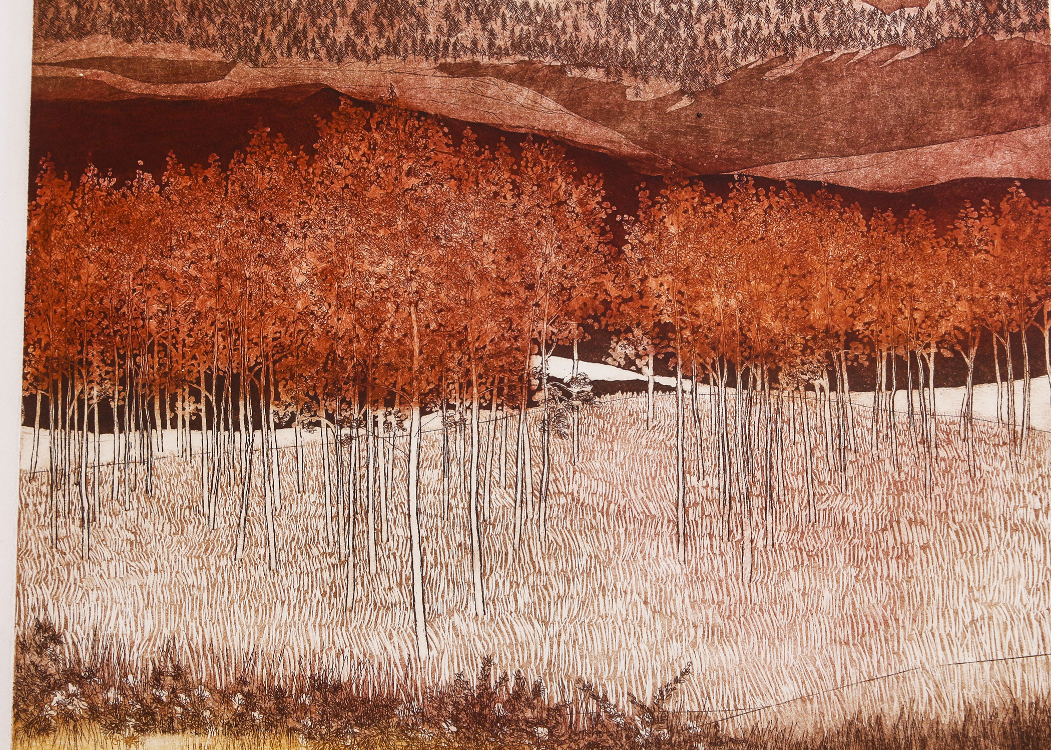 Russa Graeme "Highland" Etching