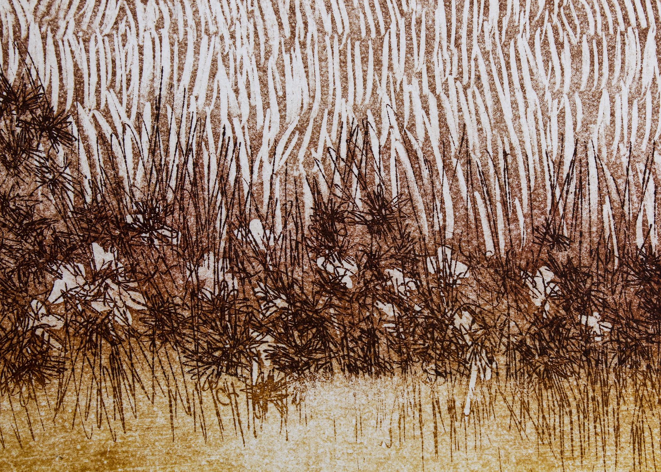 Russa Graeme "Highland" Etching