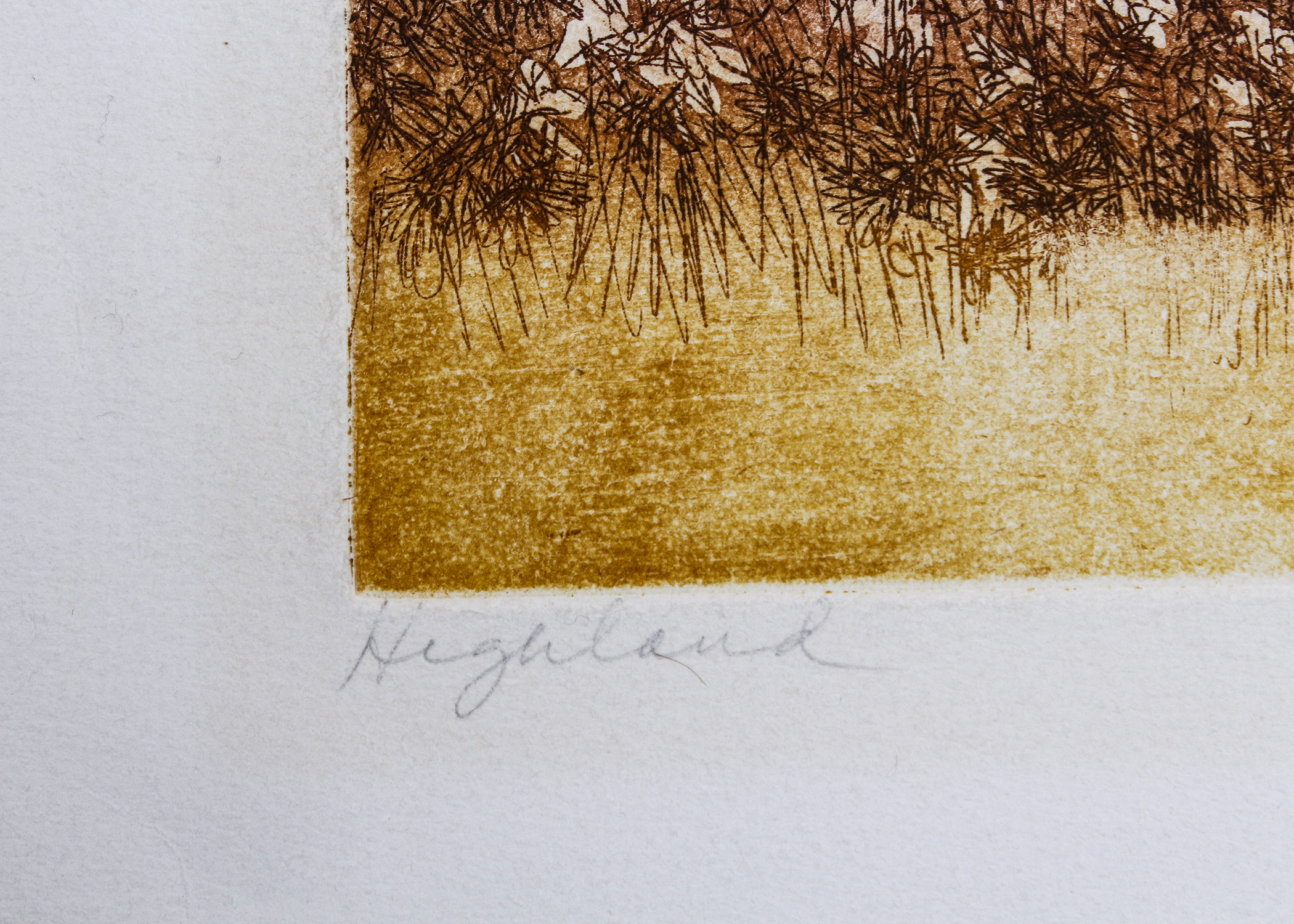 Russa Graeme "Highland" Etching