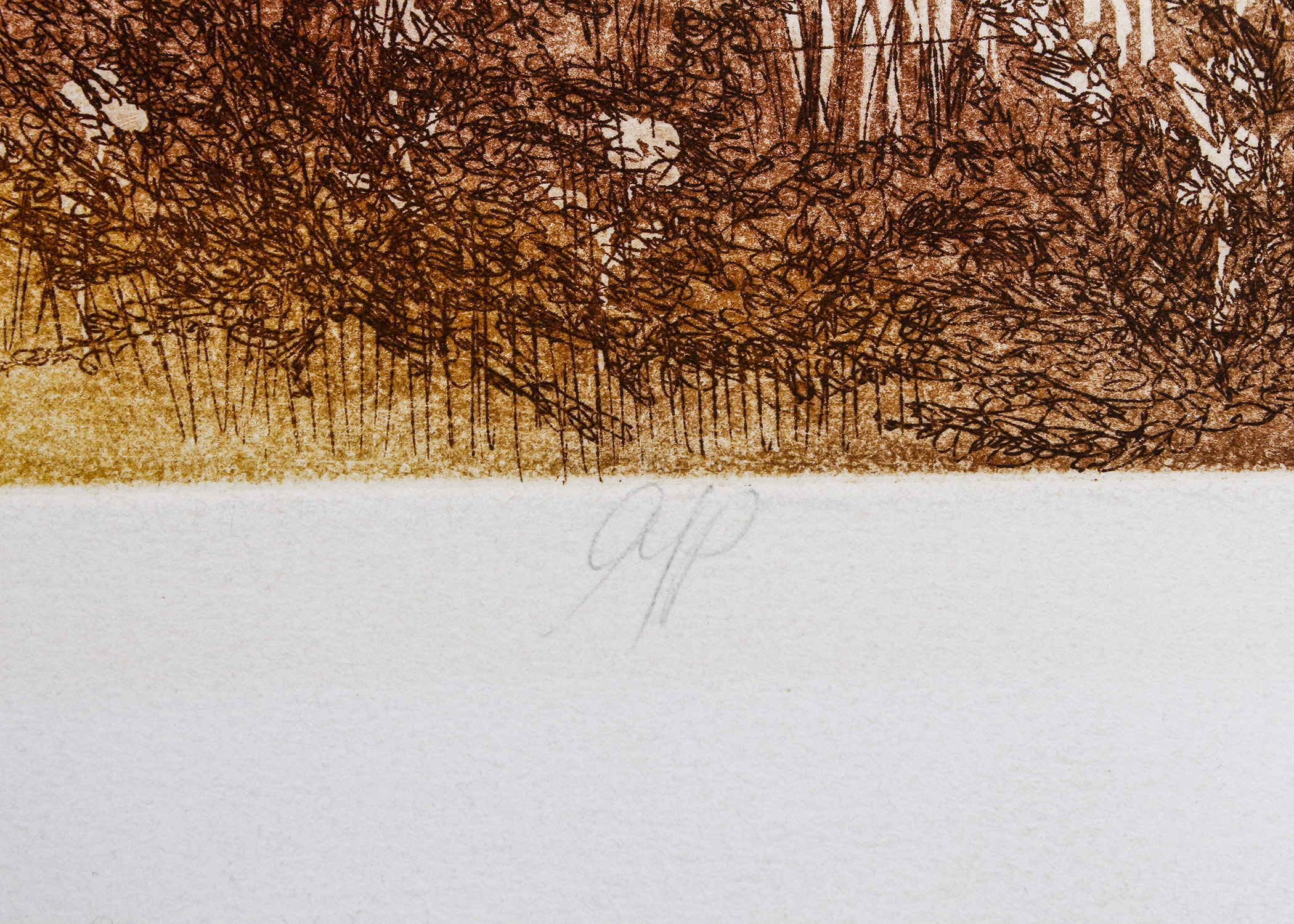 Russa Graeme "Highland" Etching